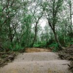 19-Harstad-Bike-Park-Trail-Build-Up-Velosolutions-2021