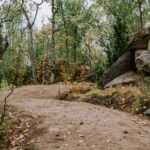 1-Harstad-Bike-Park-Velosolutions-Build-Up-Uphill-Trails-2021