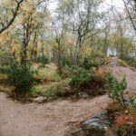 10-Harstad-Bike-Park-Velosolutions-Build-Up-Uphill-Trails-2021