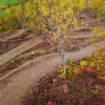 102-Harstad-Bike-Park-Trail-Build-Up-2021