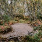 15-Harstad-Bike-Park-Velosolutions-Build-Up-Uphill-Trails-2021