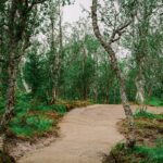 16-Bike-Trails-1-BuildUp-Harstad-Bike-Park-2021