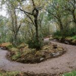 16-Harstad-Bike-Park-Velosolutions-Build-Up-Uphill-Trails-2021