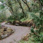 17-Harstad-Bike-Park-Velosolutions-Build-Up-Uphill-Trails-2021