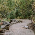 18-Harstad-Bike-Park-Velosolutions-Build-Up-Uphill-Trails-2021