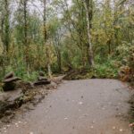 21-Harstad-Bike-Park-Velosolutions-Build-Up-Uphill-Trails-2021