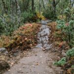 26-Harstad-Bike-Park-Velosolutions-Build-Up-Uphill-Trails-2021