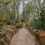 3-Harstad-Bike-Park-Velosolutions-Build-Up-Uphill-Trails-2021