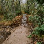 4-Harstad-Bike-Park-Velosolutions-Build-Up-Uphill-Trails-2021
