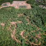 78-Velosolutions-Freestyle-Bike-Park-Harstad-Bike-Park-Velosolutions-2021