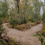 8-Harstad-Bike-Park-Velosolutions-Build-Up-Uphill-Trails-2021