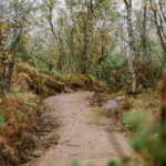 9-Harstad-Bike-Park-Velosolutions-Build-Up-Uphill-Trails-2021